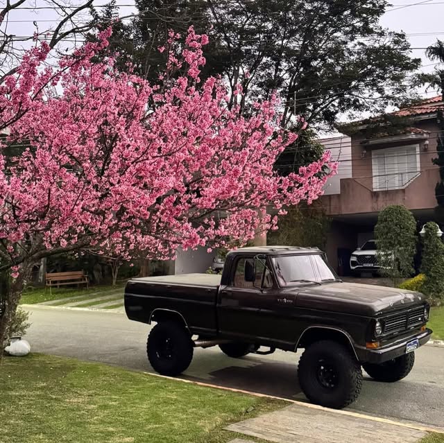 FORD F-1000 - Imagem 5