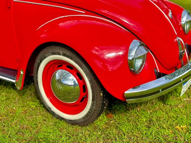 VOLKSWAGEN FUSCA - Imagem 11