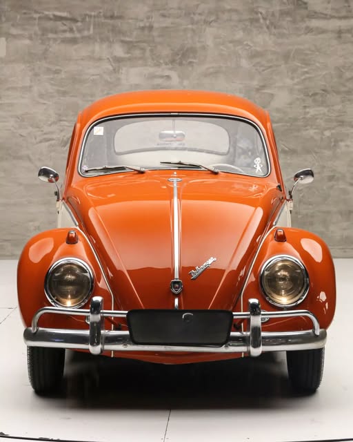 VOLKSWAGEN FUSCA - Imagem 9