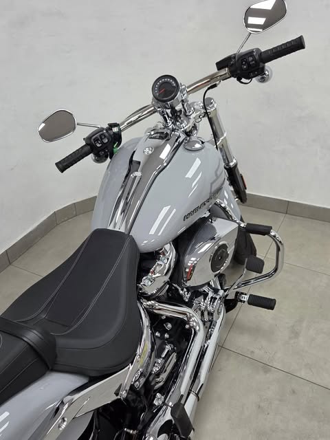 HARLEY-DAVIDSON SOFTAIL BREAKOUT - Imagem 7
