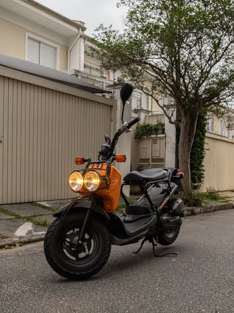 HONDA RUCKUS - Imagem 1