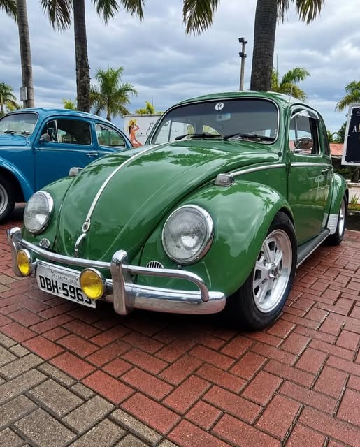 VOLKSWAGEN FUSCA - Imagem 2