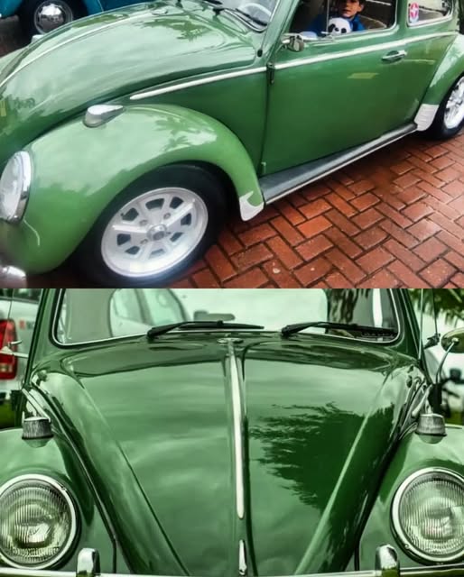 VOLKSWAGEN FUSCA - Imagem 7