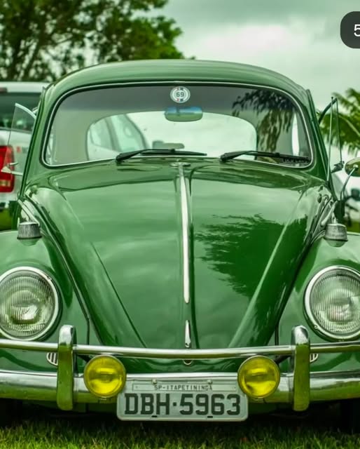 VOLKSWAGEN FUSCA - Imagem 9