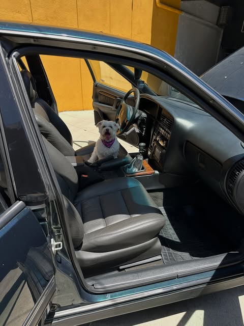 CHEVROLET OMEGA CD - Imagem 18