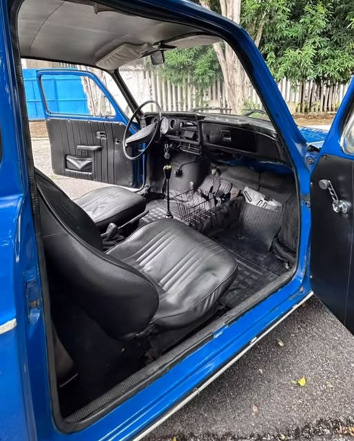 VOLKSWAGEN VARIANT - Imagem 18