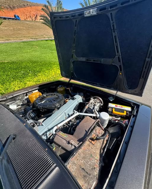 CHEVROLET OPALA DIPLOMATA - Imagem 13
