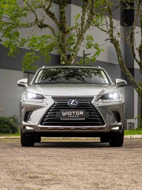 LEXUS NX 300H LUXURY - Imagem 2
