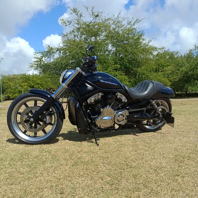 HARLEY-DAVIDSON V-ROD - Imagem 1