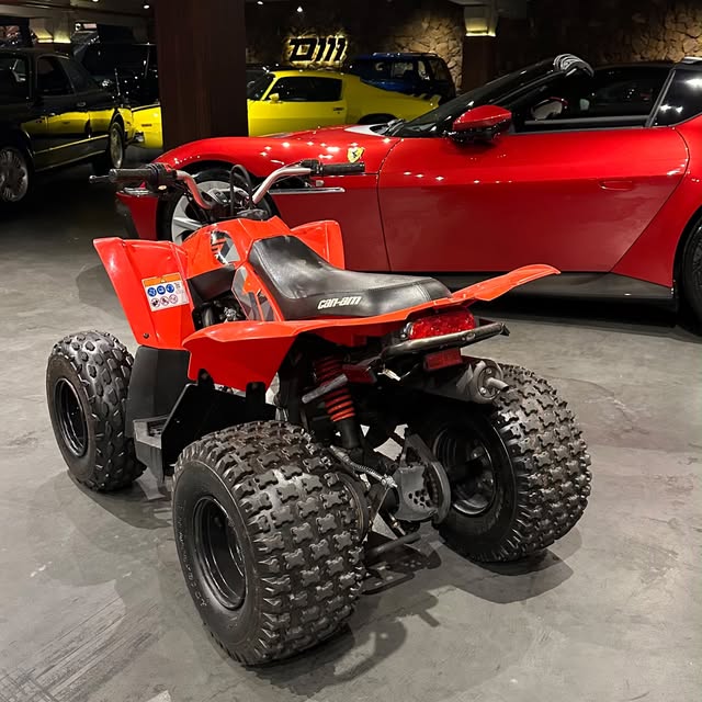 CAN-AM DS 90 - Imagem 2