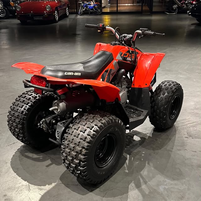 CAN-AM DS 90 - Imagem 3
