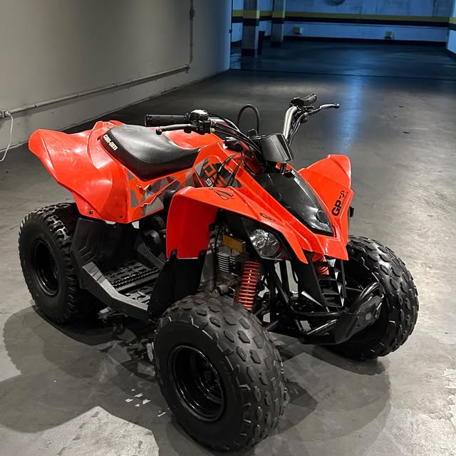 CAN-AM DS 90 - Imagem 4
