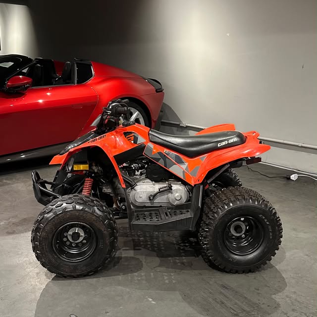 CAN-AM DS 90 - Imagem 6