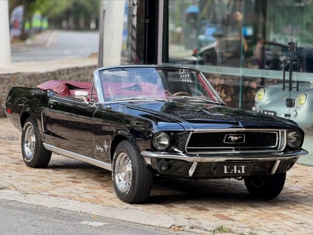 FORD MUSTANG - Imagem 1