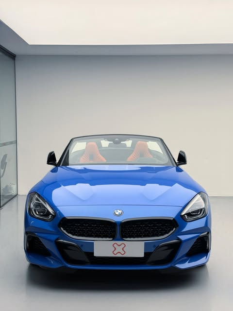 BMW Z4 SDRIVE30I - Imagem 2