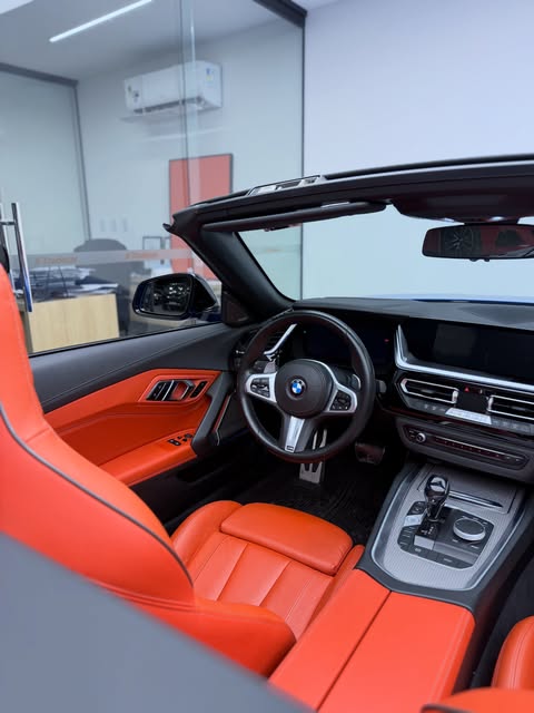 BMW Z4 SDRIVE30I - Imagem 9