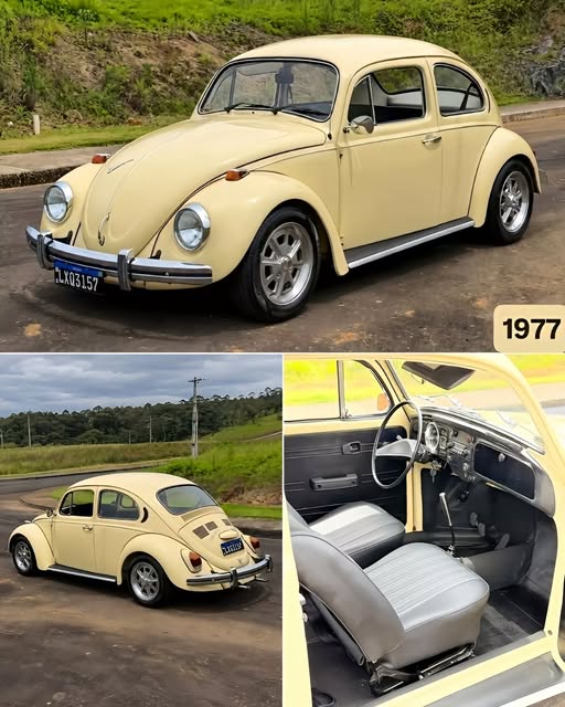 VOLKSWAGEN FUSCA - Imagem 1