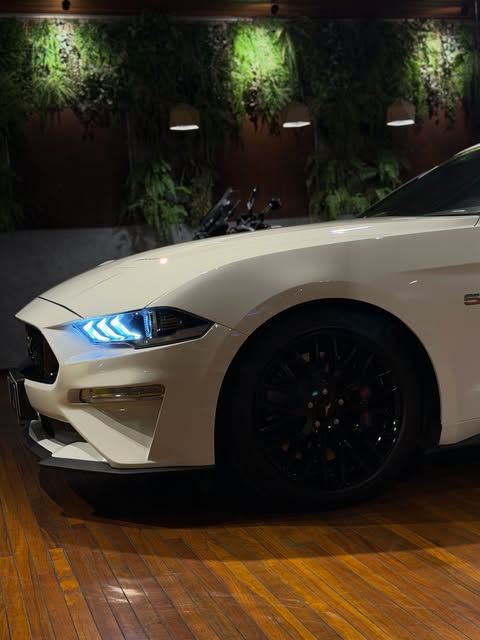 FORD MUSTANG GT PREMIUM - Imagem 15