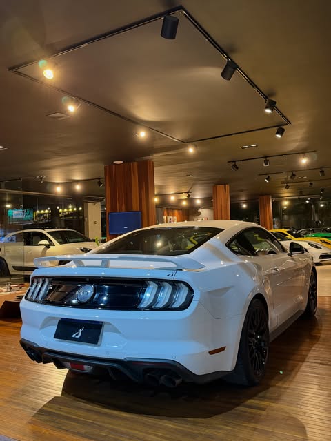 FORD MUSTANG GT PREMIUM - Imagem 4