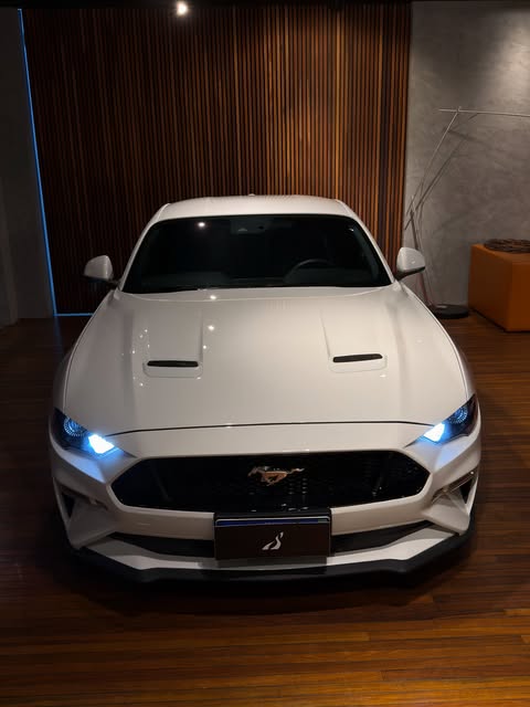 FORD MUSTANG GT PREMIUM - Imagem 6